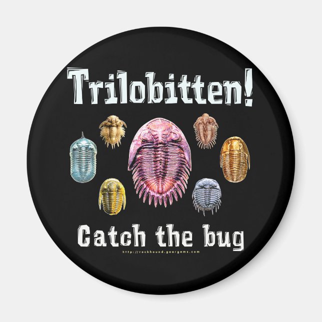 Trilobitten Magnet (Framsidan)