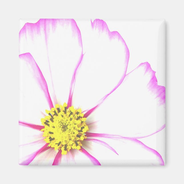 Trimmad i Rosa Magnet (Framsidan)