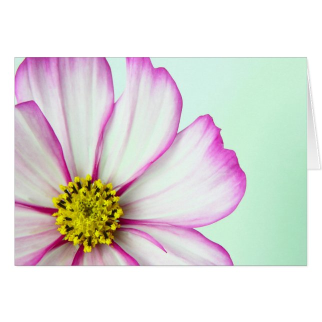 Trimmat i Rosa Hälsningskort (Framsidan Horizontal)