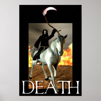 Trimningstid - 4 poster