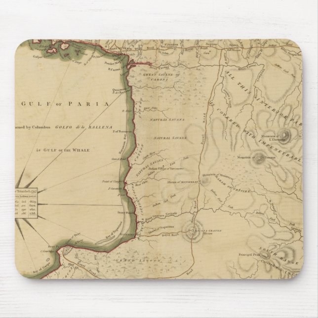 Trinidad 2 musmatta (Framsidan)