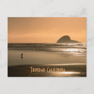 Trinidad California Vykort