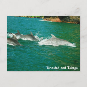 Trinidad och Tobago Vykort