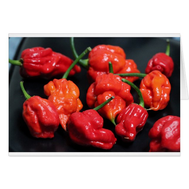 Trinidad Scorpion Hottest Chili Hälsningskort (Framsidan Horizontal)