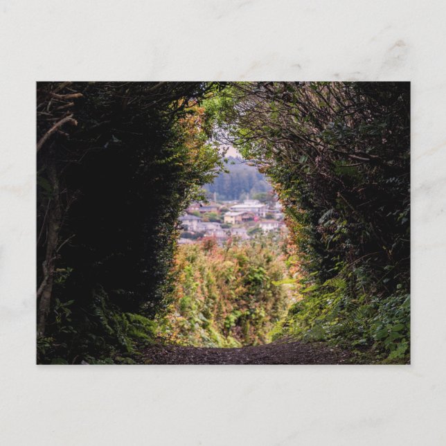 Trinidad Vykort (Framsida)