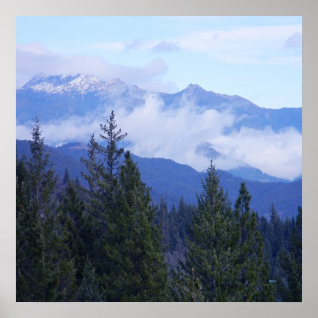 Trinitets Alpernor... Poster (Framsidan)