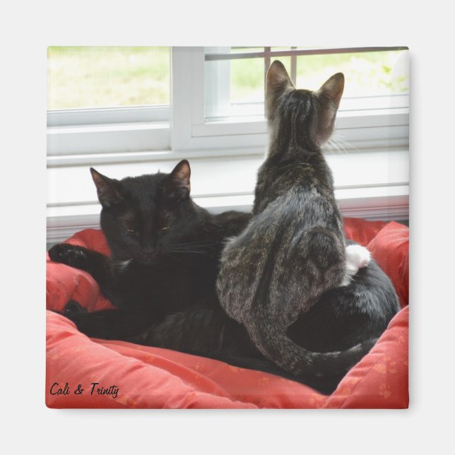 Trinity & Cali Magnet (Framsidan)