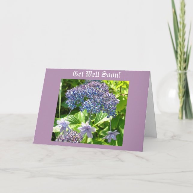 Trinity får väl kort (Framsida)