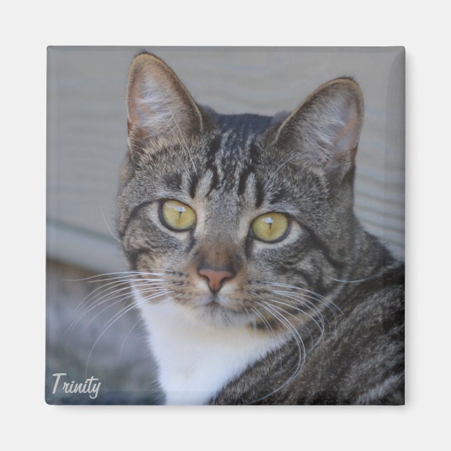 Trinity Magnet (Framsidan)