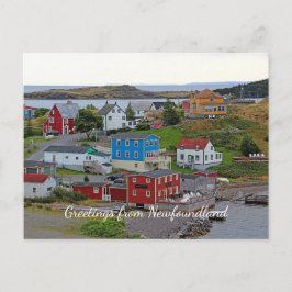 Trinity Newfoundland Vykort