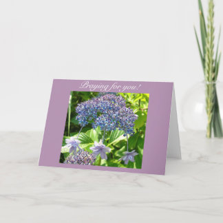 Trinity som ber för dig kort