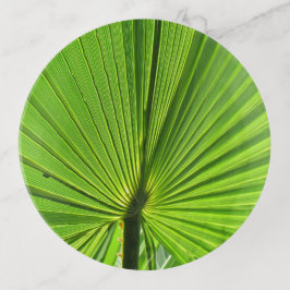 Trinket Tray - Grönt Handflatan Frond