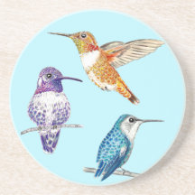 Trio av Bright Hummingbird, Costas, Rufous