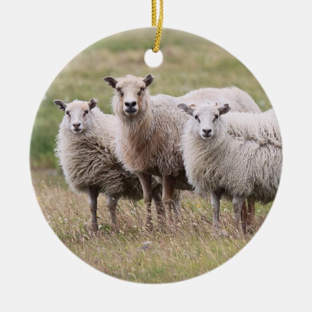 Trio av får i island julgransprydnad keramik (Framsidan)