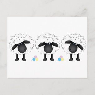 Trio av får vykort