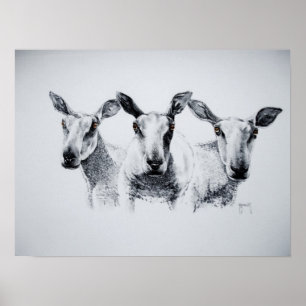 Trio av fårtrycket poster