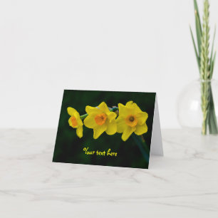 Trio av narcisser Greeting card Kort