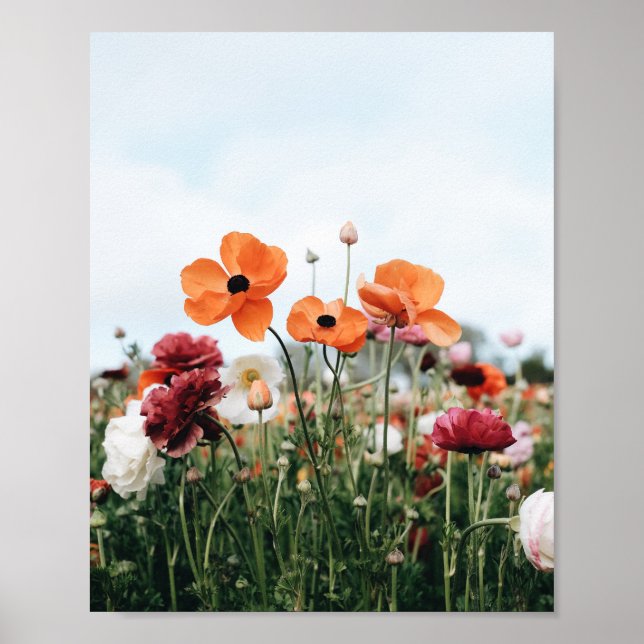Trio av Orange Blommor Affisch Print (Framsidan)