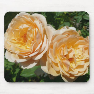 Trio av persikor rosor Blommor Musmatta