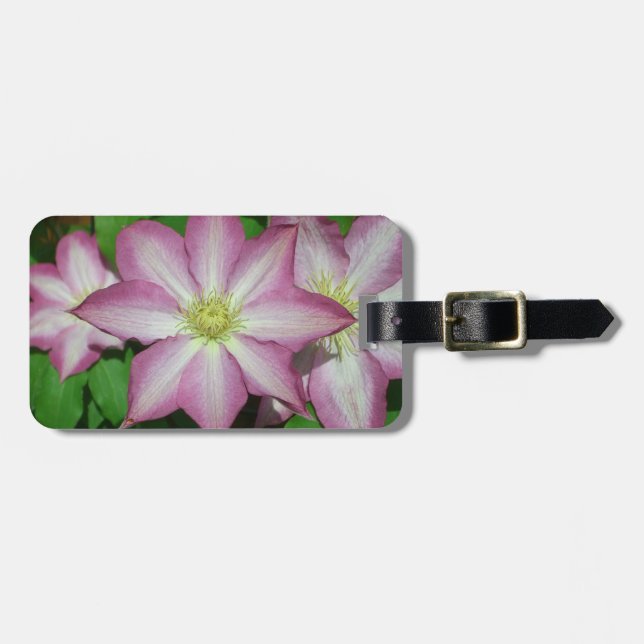 Trio Clematis Rosa och Vita Vår Vine Bagagebricka (Horisontell Framsida)