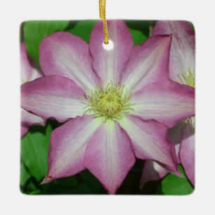 Trio Clematis Rosa och Vita Vår Vine Julgransprydnad Keramik