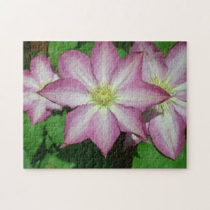 Trio Clematis Rosa och Vita Vår Vine Pussel
