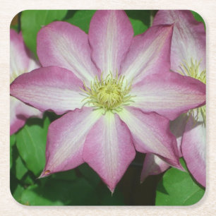 Trio Clematis Rosa och Vita Vår Vine Underlägg Papper Kvadrat