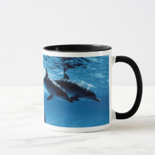 Trio delfiner mugg
