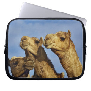Trio kameler, kamelmarknad, Kairo, Egypten Laptop Sleeve