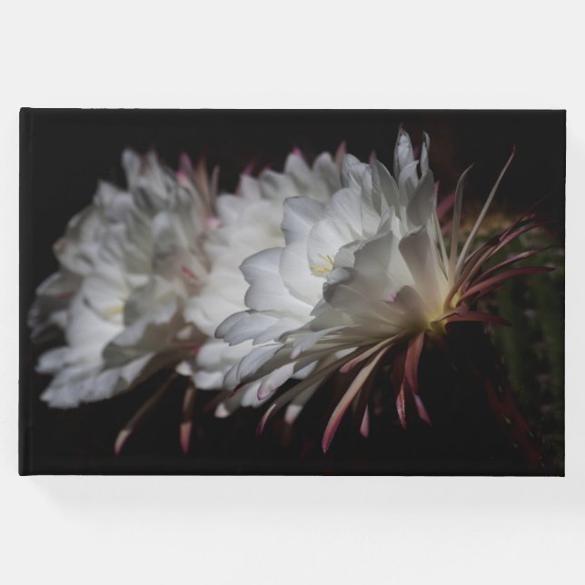 Trio of White Cactus Gästböcker (Framsida)