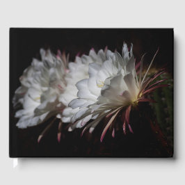 Trio of White Cactus Gästböcker