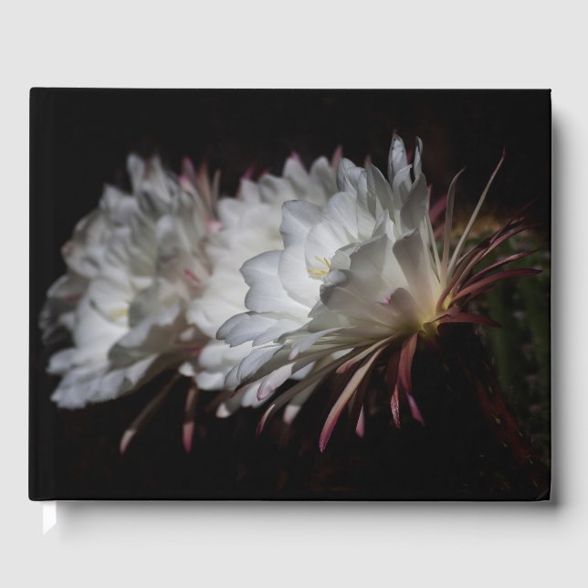 Trio of White Cactus Gästböcker (Framsida)