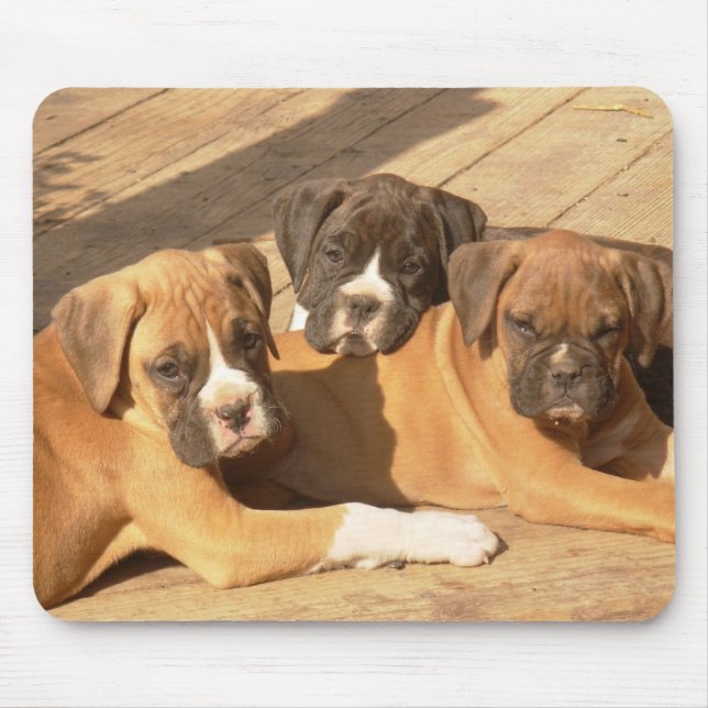 Trio på boxervalpar mousserande musmatta (Framsidan)