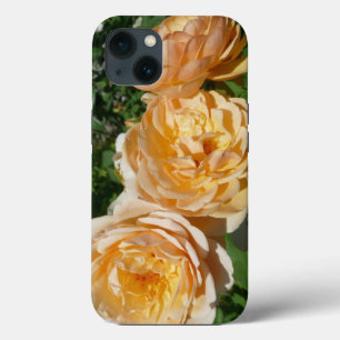 Trio Peach Ro Blommigt