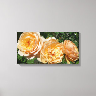 Trio Peach Ro Blommigt Canvastryck