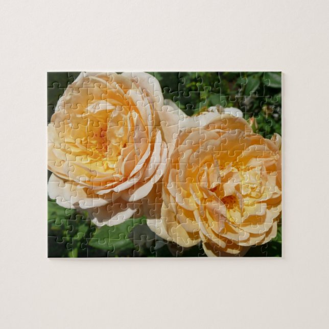 Trio Peach Ro Blommigt Pussel (Horisontell)