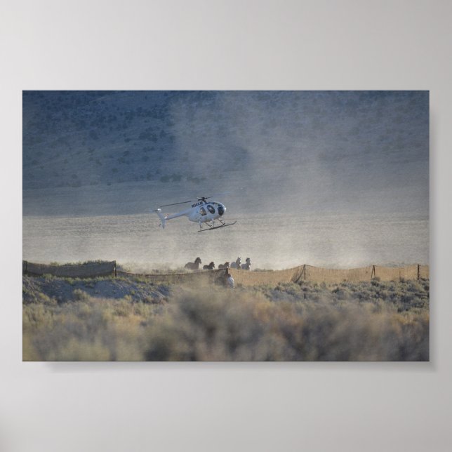 Triple B Round-up Butte Valley Nevada Poster (Framsidan)