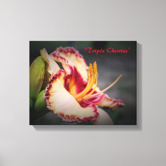 ‘Triple Cherries’ Daglilje Konst Canvastryck (Framsida)