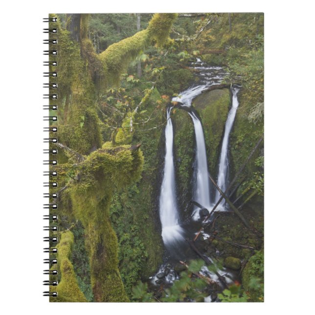 Triple Falls, Columbia River Gorge Anteckningsbok Med Spiral (Framsidan)