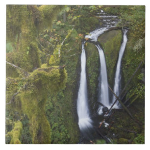 Triple Falls, Columbia River Gorge Kakelplatta