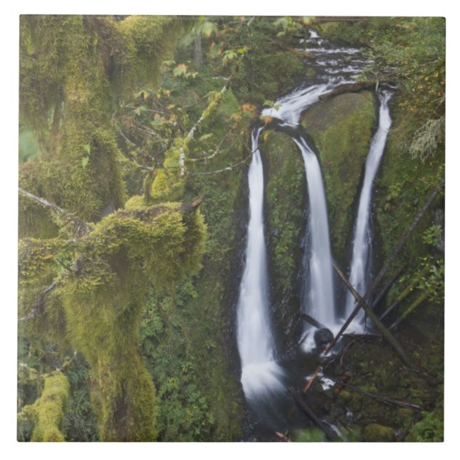 Triple Falls, Columbia River Gorge Kakelplatta (Framsidan)