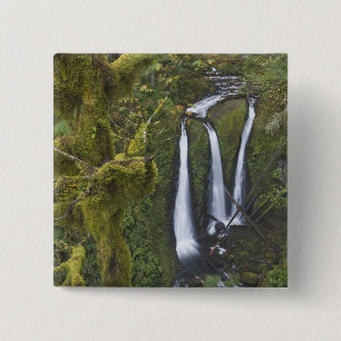 Triple Falls, Columbia River Gorge Knapp
