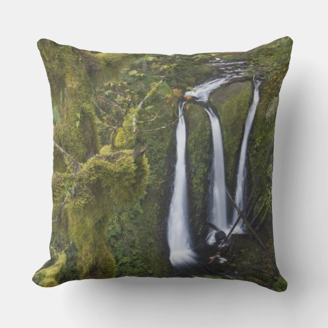 Triple Falls, Columbia River Gorge Kudde (Framsida)
