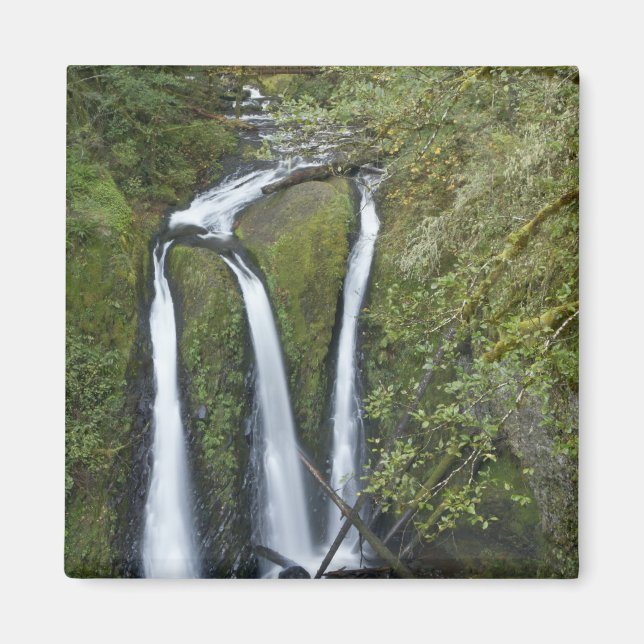 Triple Falls, Columbia River Gorge Magnet (Framsidan)