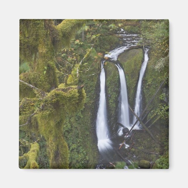 Triple Falls, Columbia River Gorge Magnet (Framsidan)