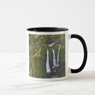 Triple Falls, Columbia River Gorge Mugg