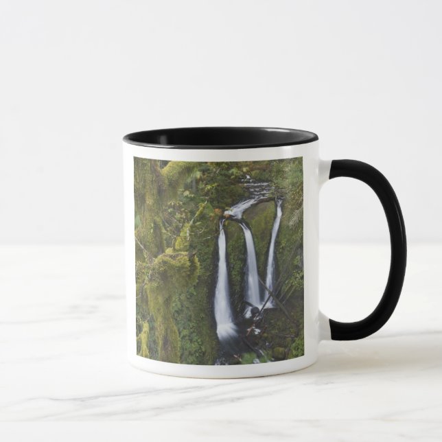 Triple Falls, Columbia River Gorge Mugg (Höger)