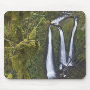 Triple Falls, Columbia River Gorge Musmatta