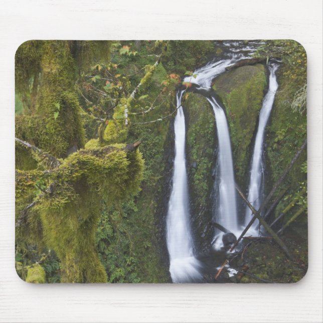 Triple Falls, Columbia River Gorge Musmatta (Framsidan)