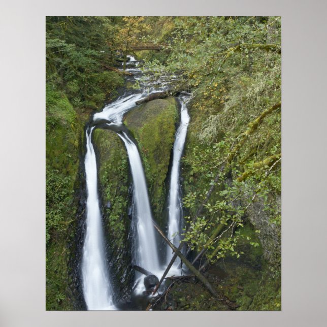 Triple Falls, Columbia River Gorge Poster (Framsidan)